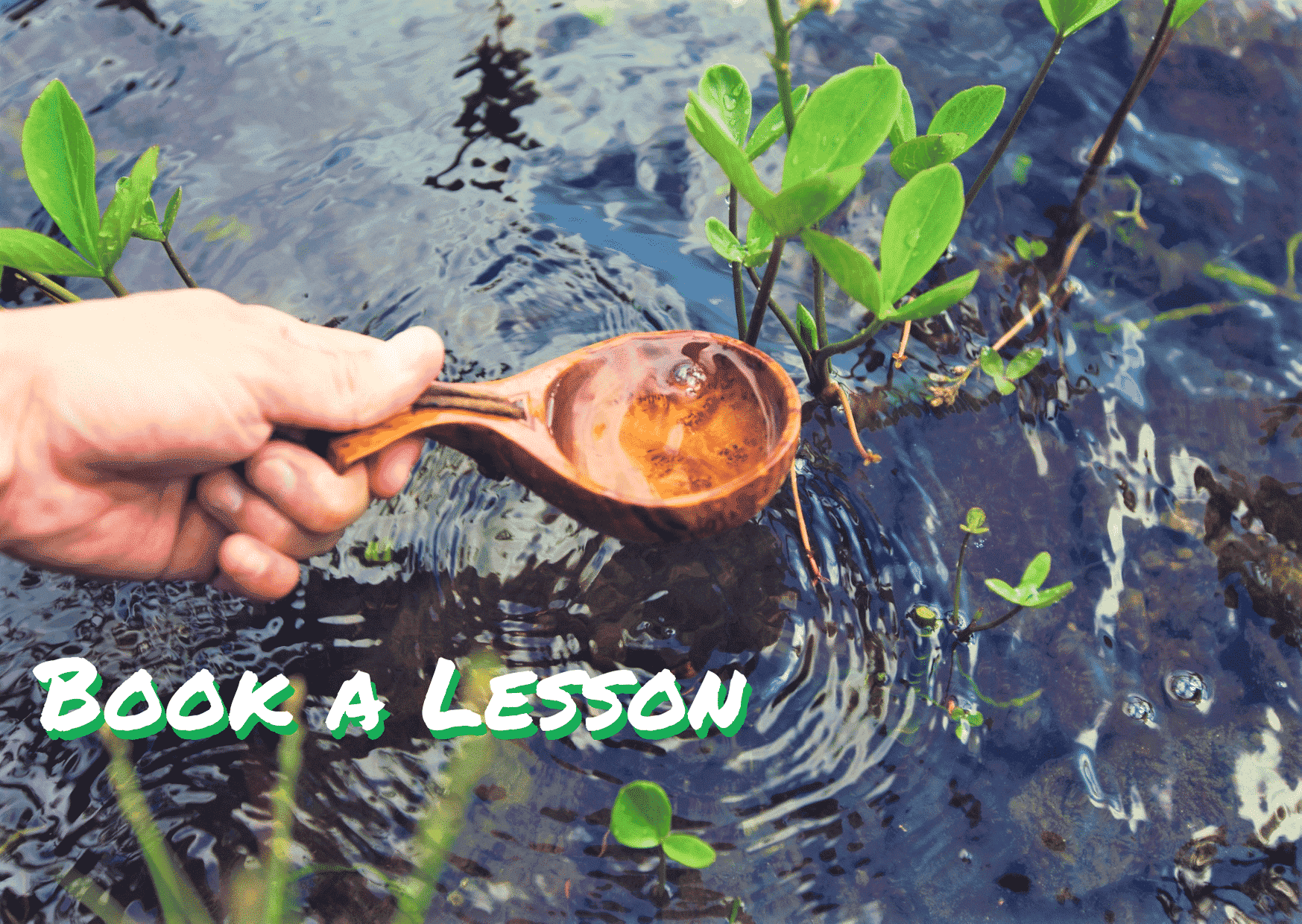 Book a Lesson English 1 1