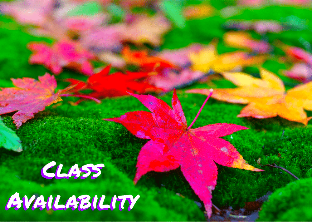 Class Availability ENG