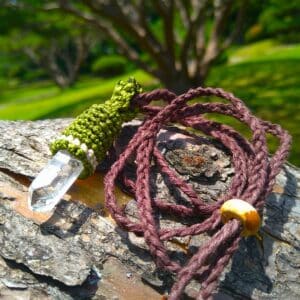Ancient Tree Bundles Its Roots